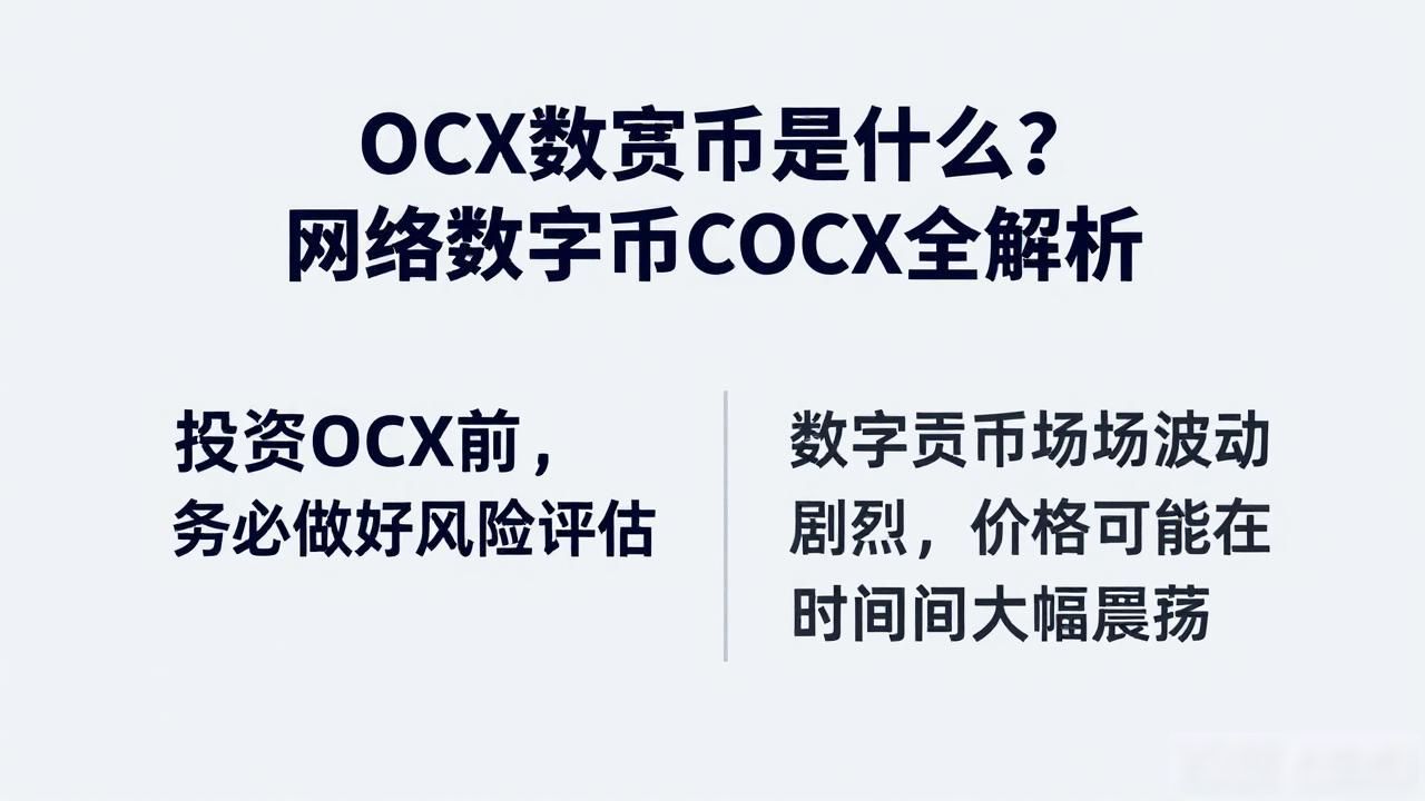 OCX数字货币是什么？网络数字货币OCX全解析