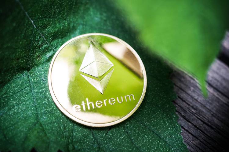 imToken钱包以太坊资产查看指南，余额与交易记录管理