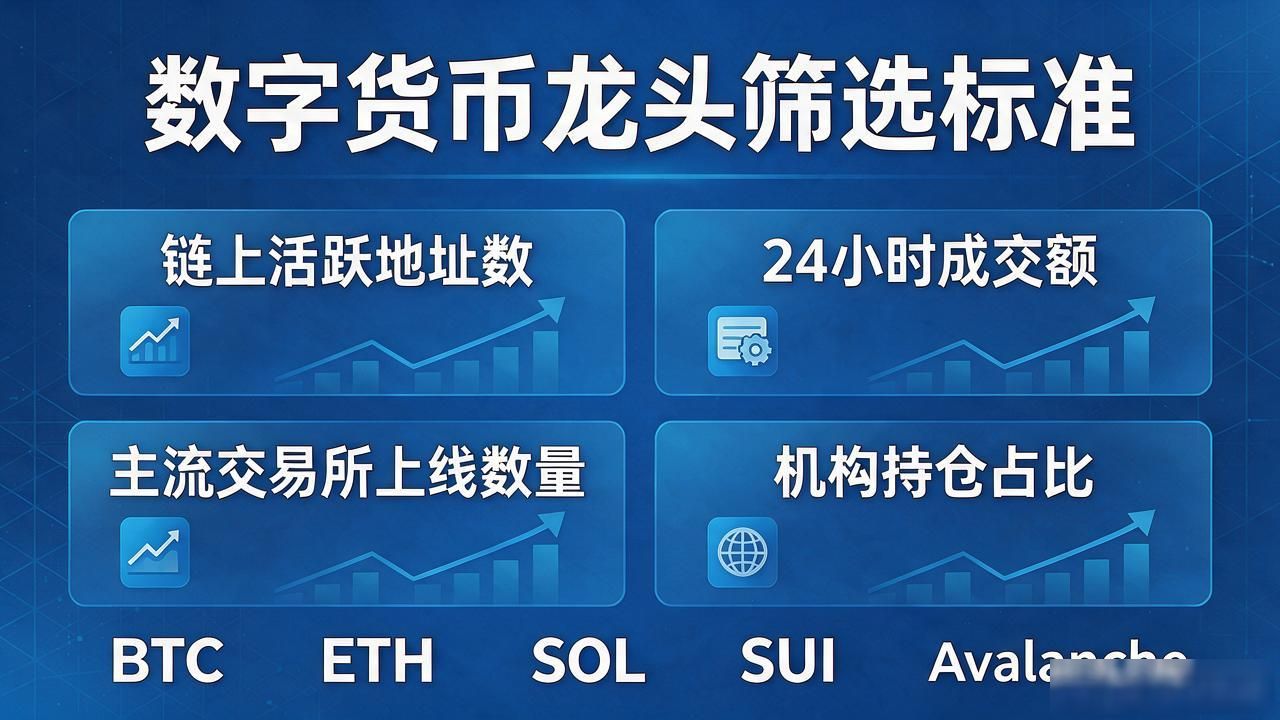 双重仓数字货币龙头怎么挑？做了三年老玩家总结的几条硬标准